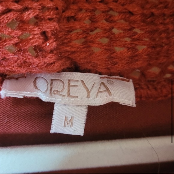 Women's Rust Sweater dress with Cowl Neck - Picture 3 of 6